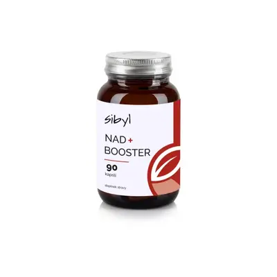 Sibyl NAD+ Booster 90 cps