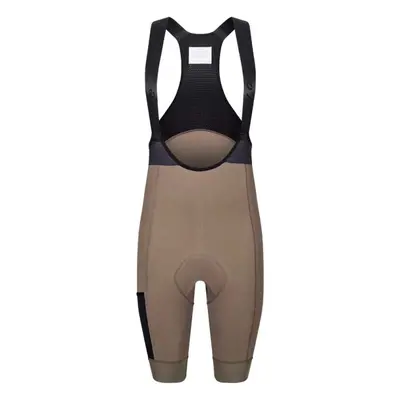 Cyklokalhoty ISADORE Signature Thermal Bib Shorts Morel