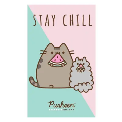 Dětský ručník Kočička Pusheen Stay Chill