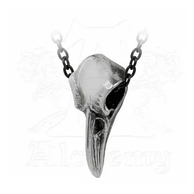 obojek ALCHEMY GOTHIC - Rabenschadel Klein - P752