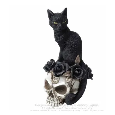 dekorace ALCHEMY GOTHIC - Black Cat & Skull