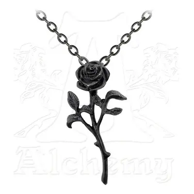 obojek The Romance Of The Black Rose - ALCHEMY GOTHIC - P695