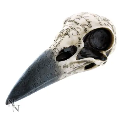 dekorace Edgar's Raven Skull