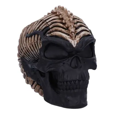 dekorace Spine Head Skull