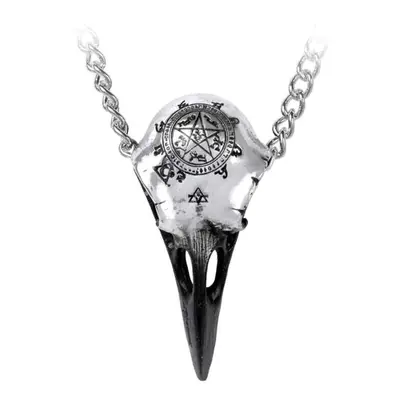 obojek ALCHEMY GOTHIC - Volvan Raven Skulll