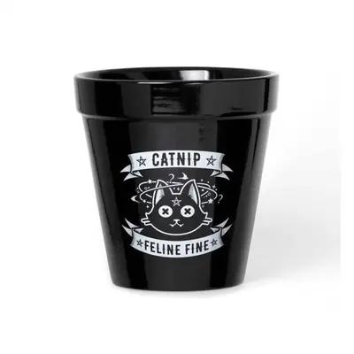 dekorace (květináč) ALCHEMY GOTHIC - Catnip