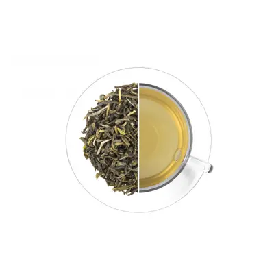 Oxalis Darjeeling Arya green tea GFTGFOP1 60 g, zelený čaj