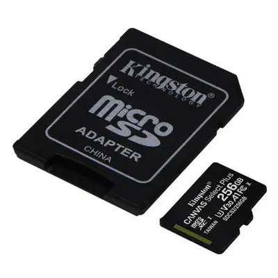 Paměťová karta Kingston Micro 256GB Class 10 UHS-I s adaptérem SD2