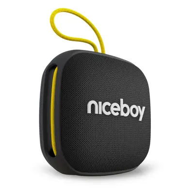 Niceboy RAZE Mini 4