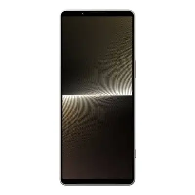 Sony Xperia 1 V 5G 12GB/256GB stříbrná