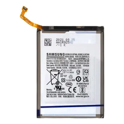 Baterie Samsung EB-BM526ABY Li-Ion 5000mAh (Service pack)