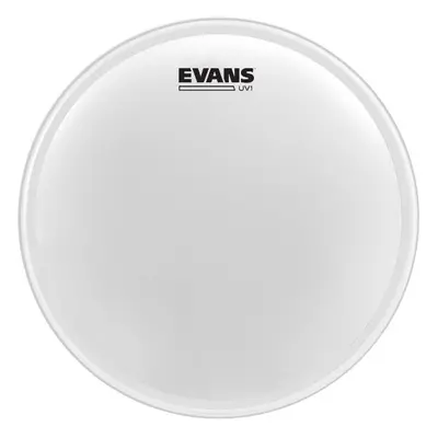 Evans B14UV1 UV1 Coated 14”