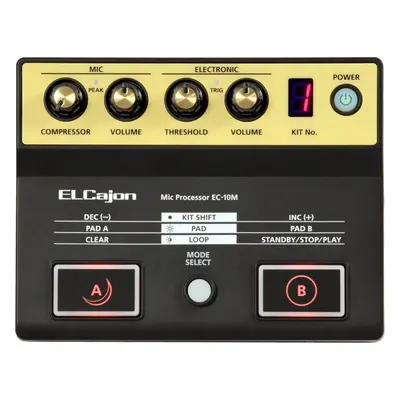 Roland EC-10M El Cajon Mic Processor