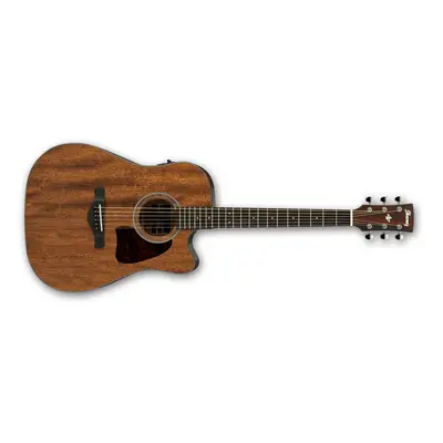 Ibanez AW54CE Open Pore Natural