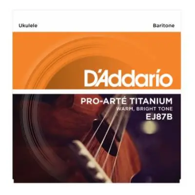 D'Addario EJ87B