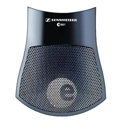 Sennheiser E901