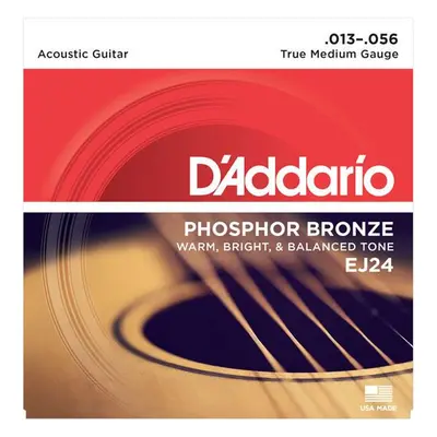 D'Addario EJ24