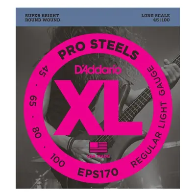 D'Addario EPS170 Pro Steels Regular Light - .045 - .100