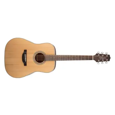 Takamine GD20, Rosewood Fingerboard - Natural