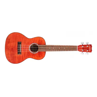 Cordoba 15CFM Rose Red