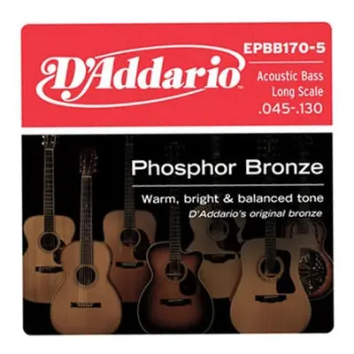 D'Addario EPBB170-5