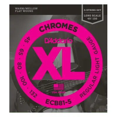 D'Addario ECB81-5 Chromes Regular Light - .045 - .132