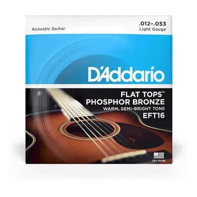 D'Addario EFT16 - Light - .012 - .053