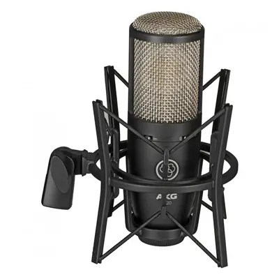 AKG Perception P 220