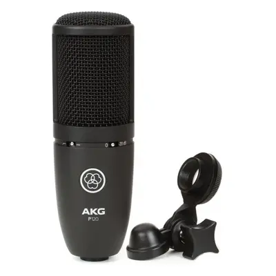 AKG Perception 120