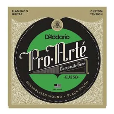 D'Addario EJ25B