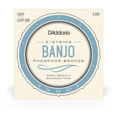 D'Addario EJ69