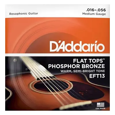 D'Addario EFT13