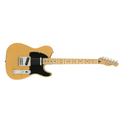 Fender Player Telecaster Butterscotch Blonde Maple