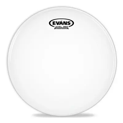 Evans B13ST ST 13”