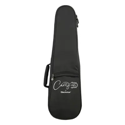 Carry-on Guitar Gig Bag