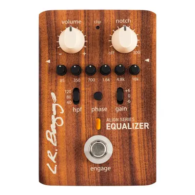 L.R.Baggs Equalizer