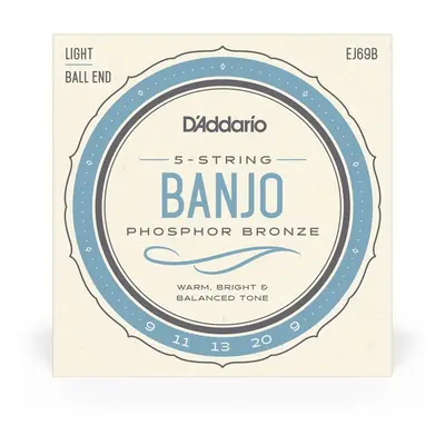 D'Addario EJ69B