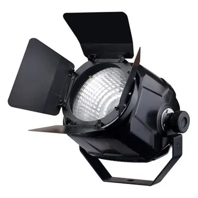 Fractal Lights PAR LED COB 100 W - 50 W WW + 50W PW