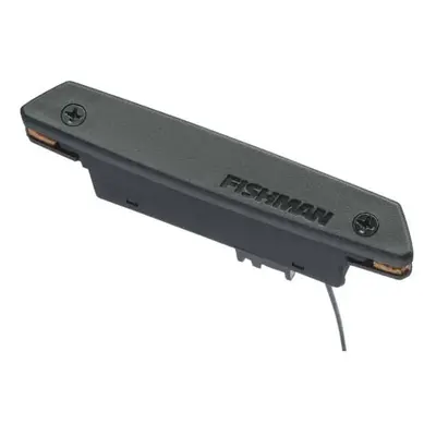 Fishman RareEarth Humbucker Coil