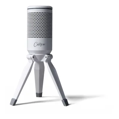 Carry-on Foldable USB Microphone - White