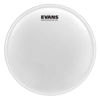 Evans B12UV1 UV1 Coated 12”