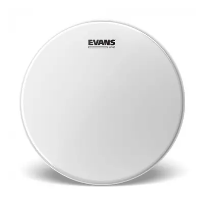 Evans B12UV2 UV2 12” Coated