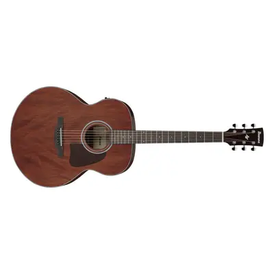 Ibanez AJ54E-OPN - Open Pore Natural