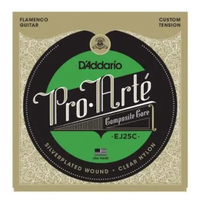 D'Addario EJ25C