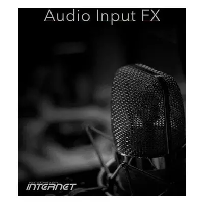 Internet Co. Audio Input FX (Digitální produkt)