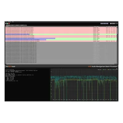 Nugen Audio AMB Loudness Module (Digitální produkt)