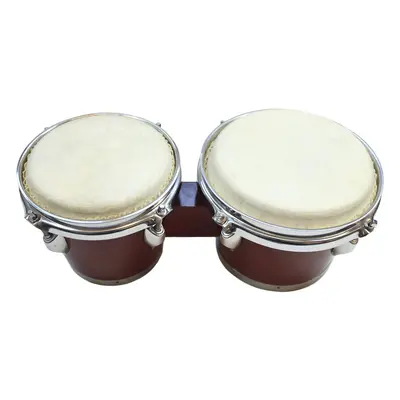 Noicetone DP592 Brown Bongo