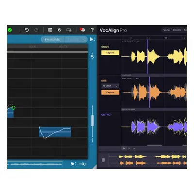 Synchro Arts RePitch Standard + VocAlign Pro Bundle (Digitální produkt)