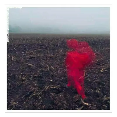 Will Varley - The Hole Around My Head (Red Vinyl) (LP)