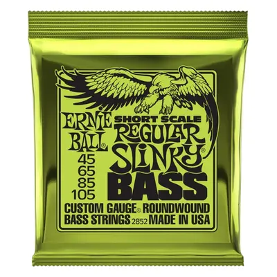 Ernie Ball Regular Slinky Bass Struny pro baskytaru